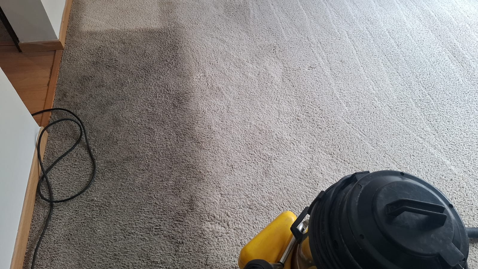Limpieza de alfombras